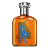 Ralph Lauren Big Pony 4