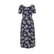 Dorothy Perkins Maternity 